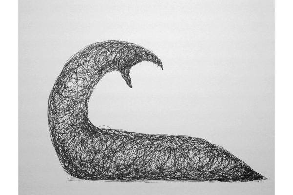 Drawn into Life XII, ink on Canson Bristol, 12x9 in.